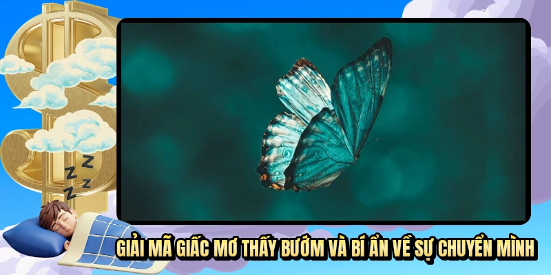 Giải mã giấc mơ thấy bướm và bí ẩn về sự chuyển mình